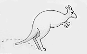 01.gif