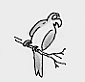 05.gif