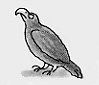 06.gif
