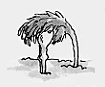 11.gif