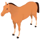 horse