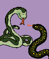 snakes