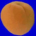 image2.gif
