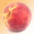 image6.gif