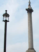 nelson